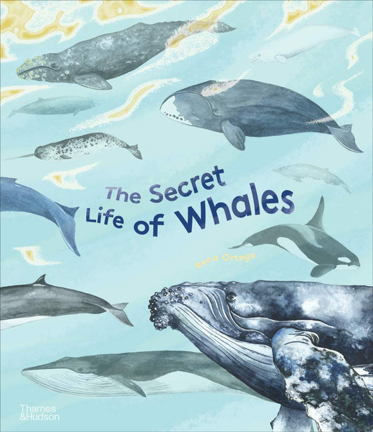 The Secret Life of Whales - By Rena Ortega
