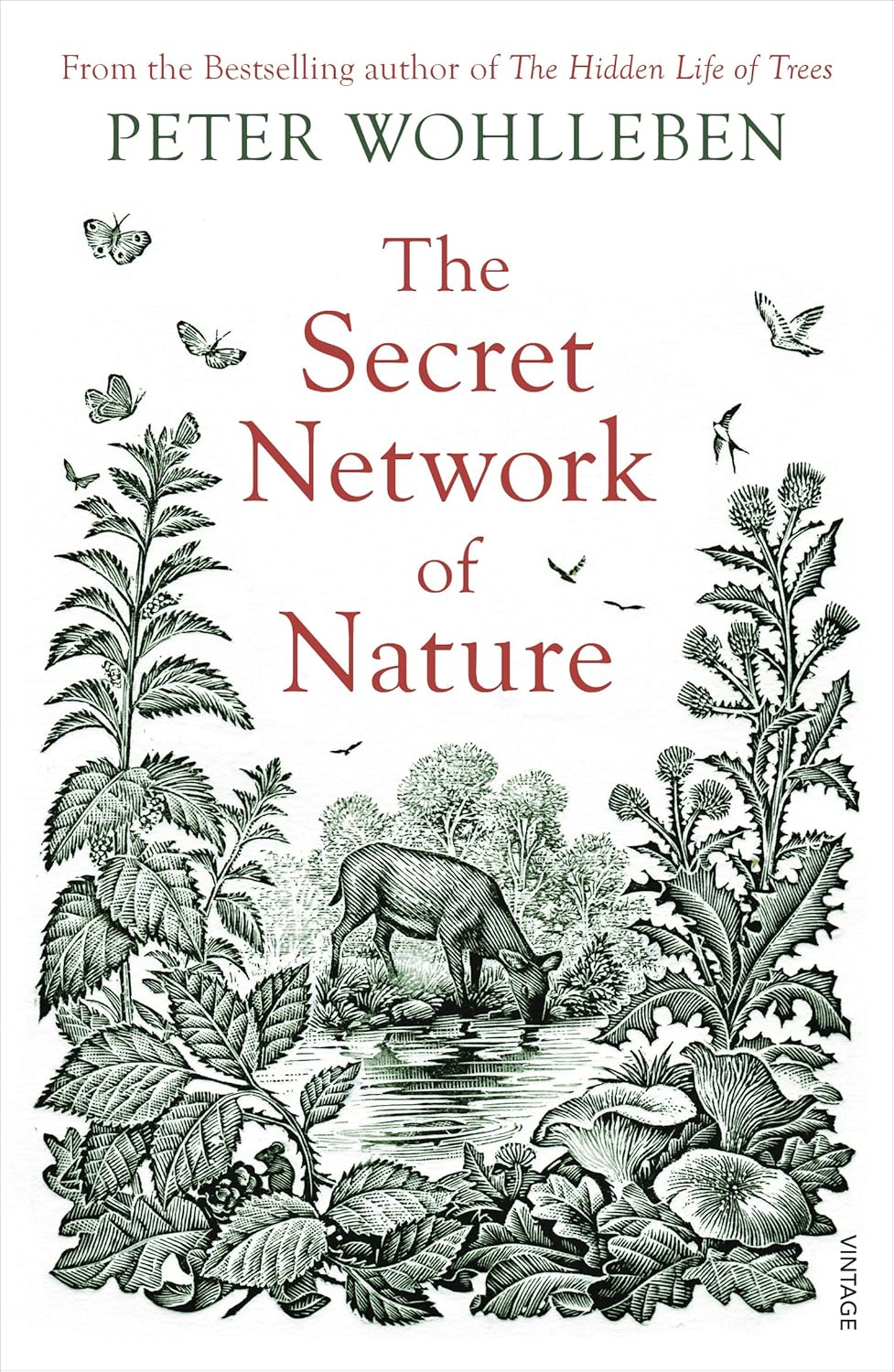 The Secret Network of Nature - By Peter Wohlleben