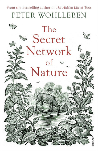 The Secret Network of Nature - By Peter Wohlleben
