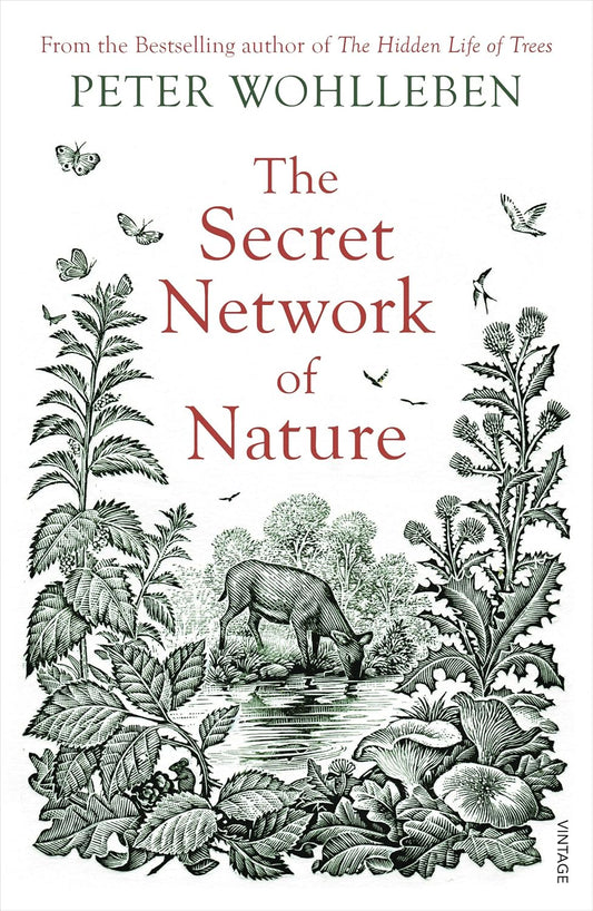 The Secret Network of Nature - By Peter Wohlleben