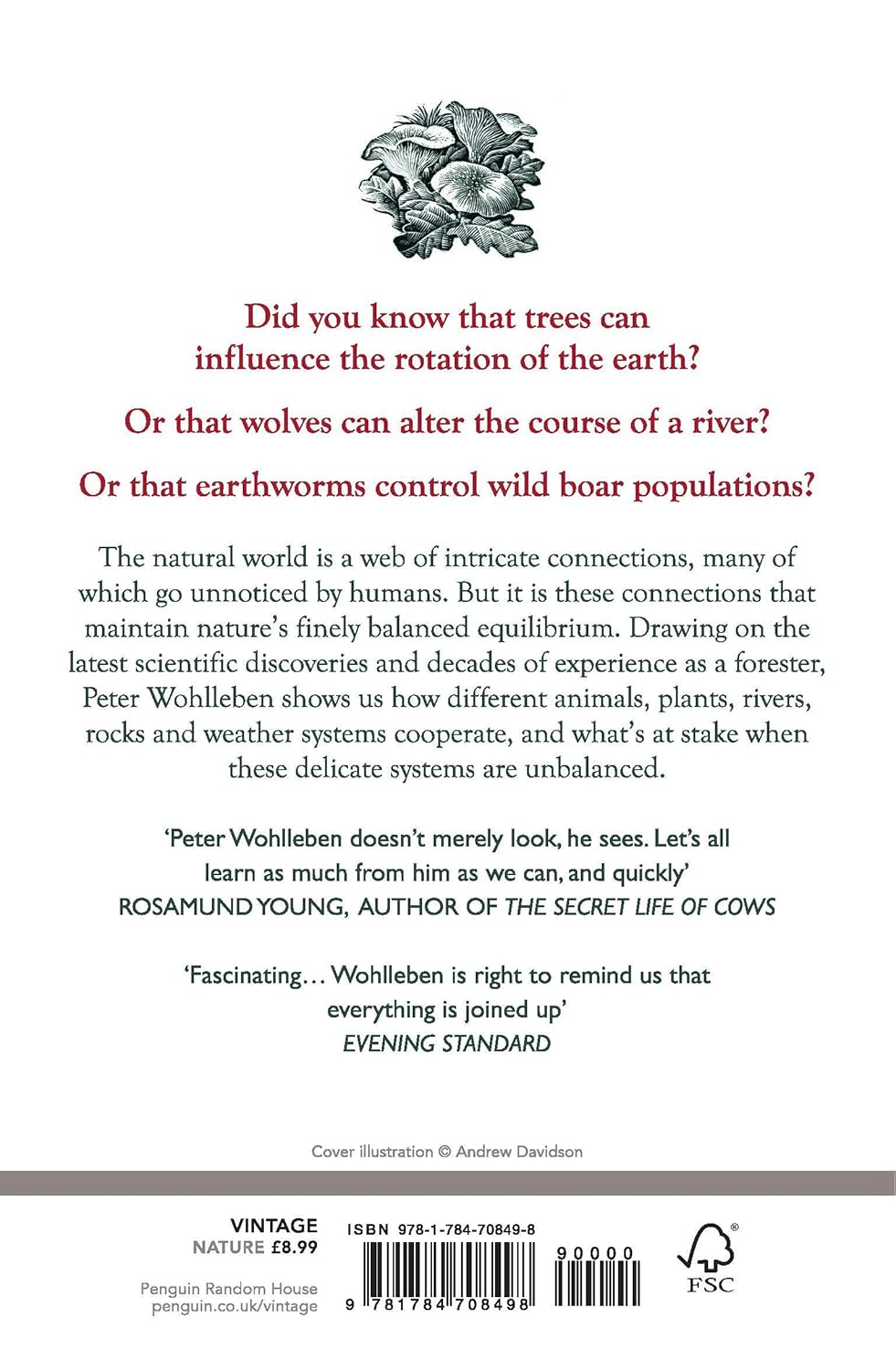 The Secret Network of Nature - By Peter Wohlleben