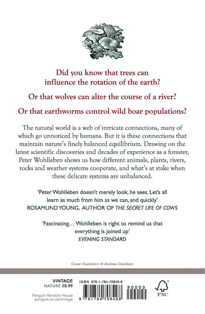 The Secret Network of Nature - By Peter Wohlleben