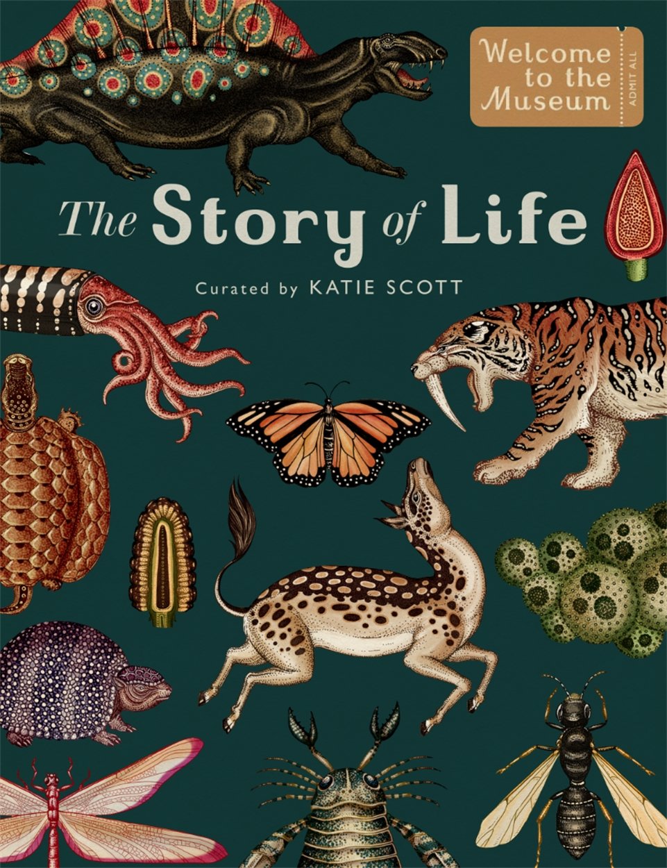 The Story of Life - By Katie Scott & Ruth Symons