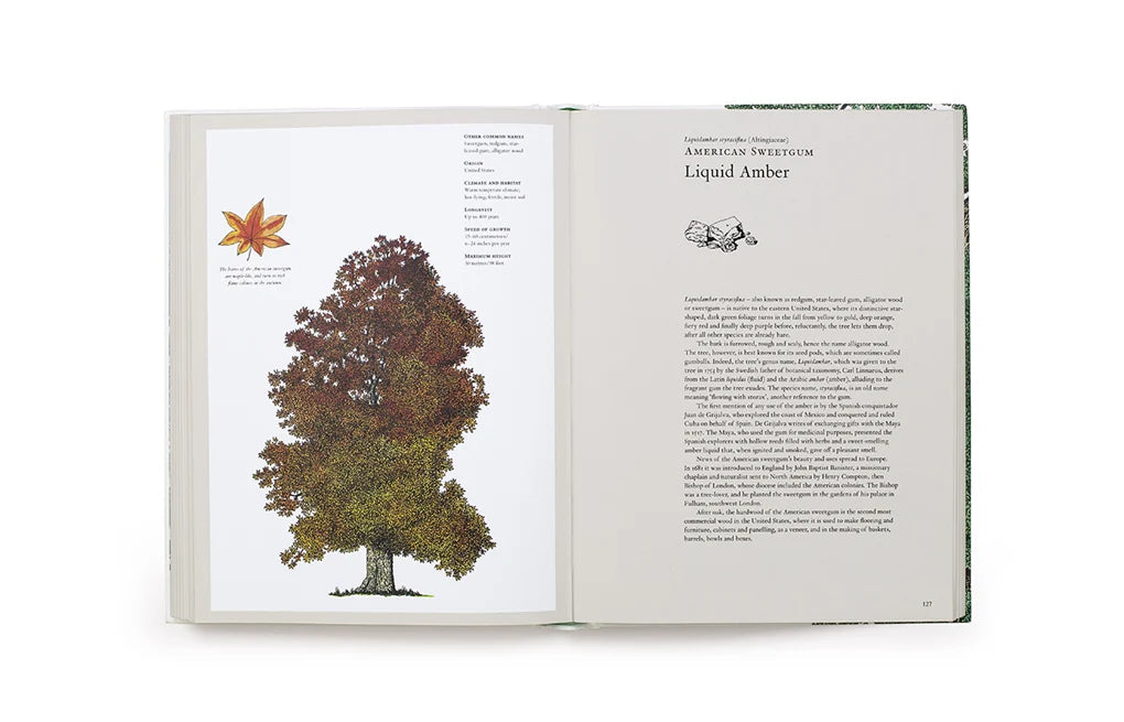 The Story of Trees - By Kevin Hobbs & David West