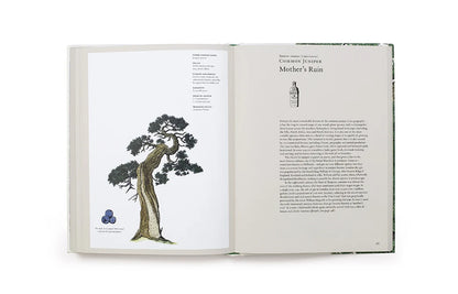 The Story of Trees - By Kevin Hobbs & David West
