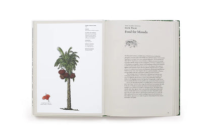 The Story of Trees - By Kevin Hobbs & David West
