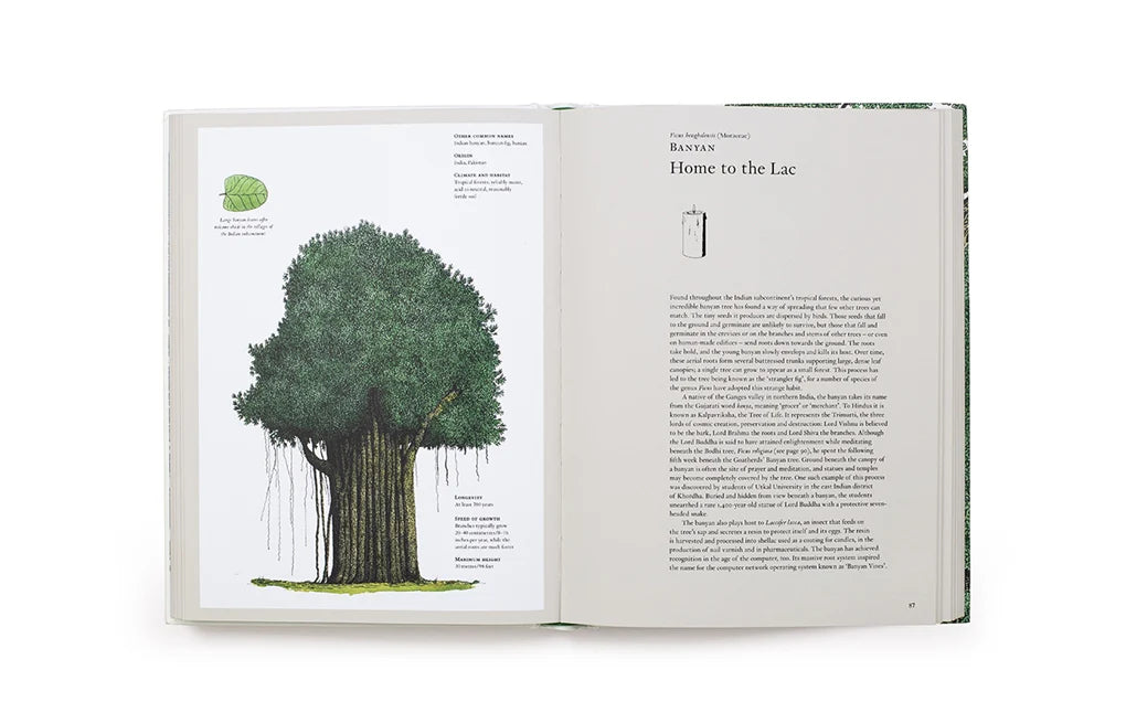 The Story of Trees - By Kevin Hobbs & David West