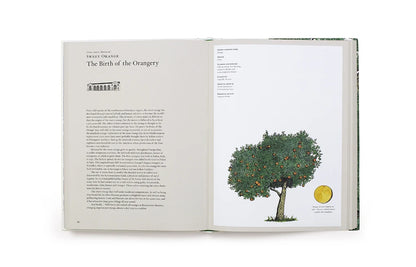 The Story of Trees - By Kevin Hobbs & David West