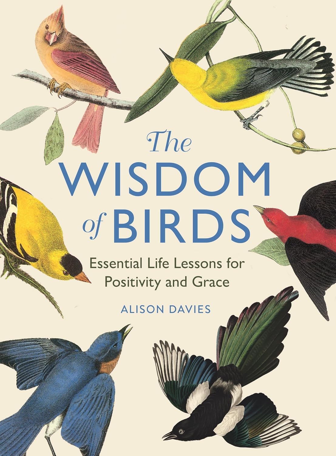 The Wisdom of Birds - By Alison Davies