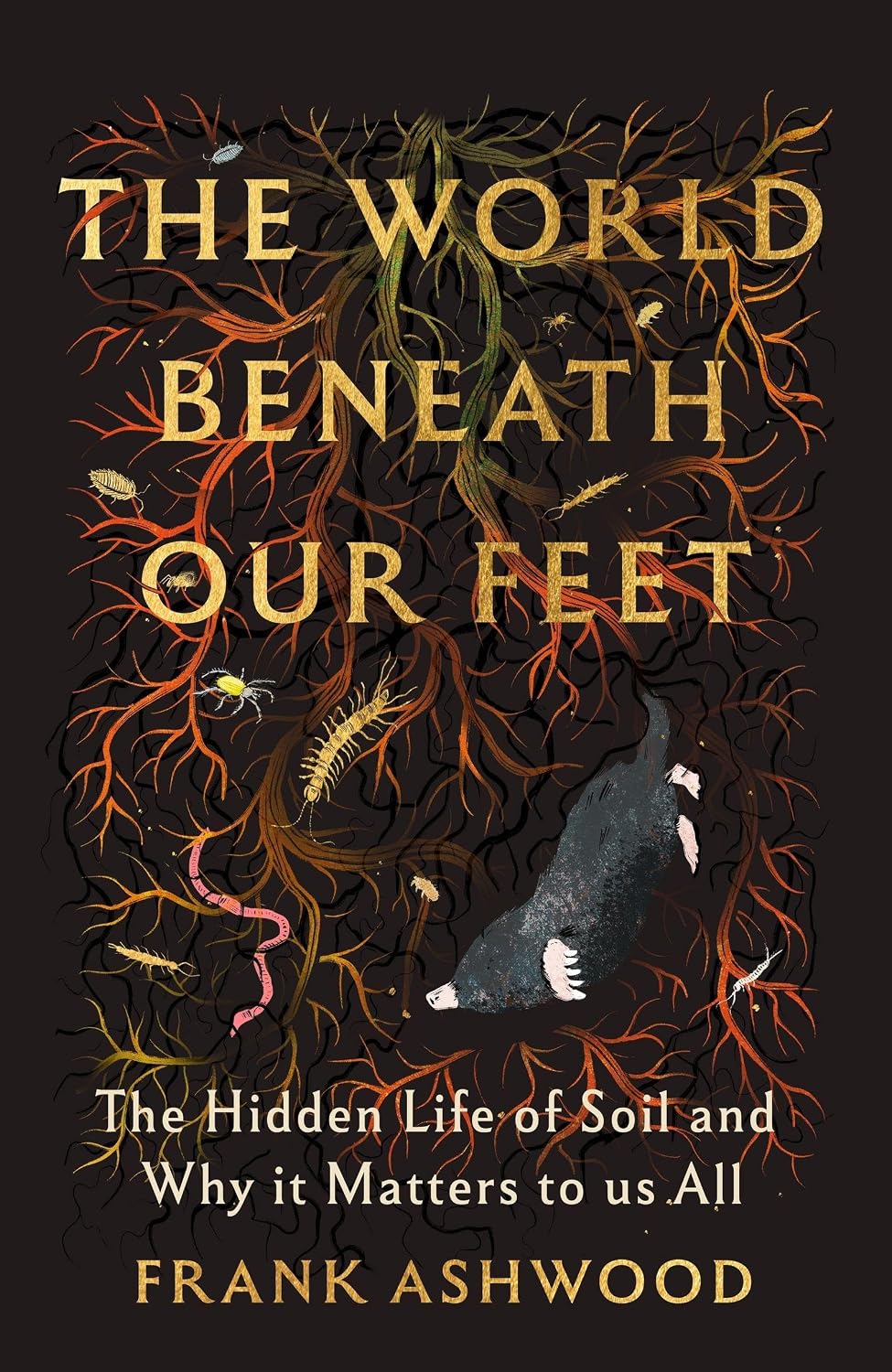 The World Beneath our Feet - By Frank Ashwood (Hardback)