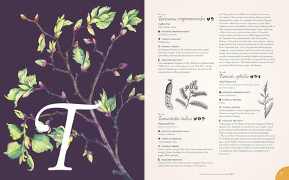 The Complete Language of Trees (Pocket Edition) - By S. Theresa Dietz