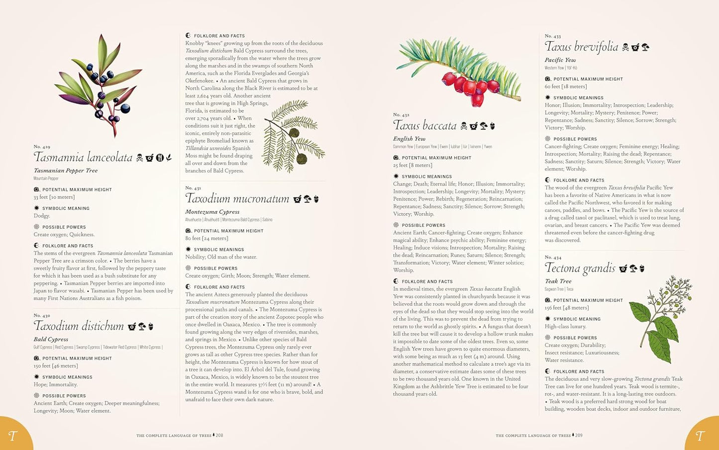 The Complete Language of Trees (Pocket Edition) - By S. Theresa Dietz