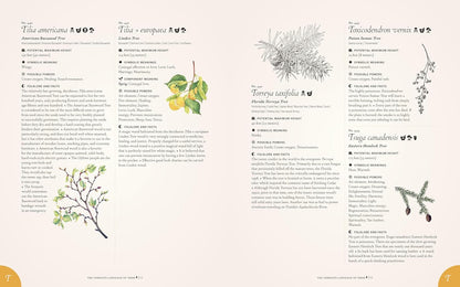 The Complete Language of Trees (Pocket Edition) - By S. Theresa Dietz