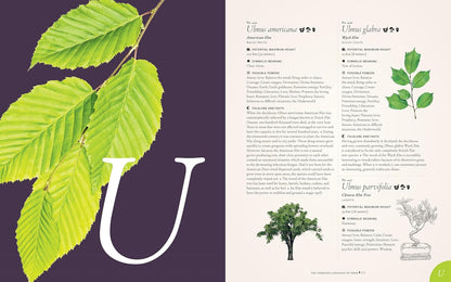 The Complete Language of Trees (Pocket Edition) - By S. Theresa Dietz