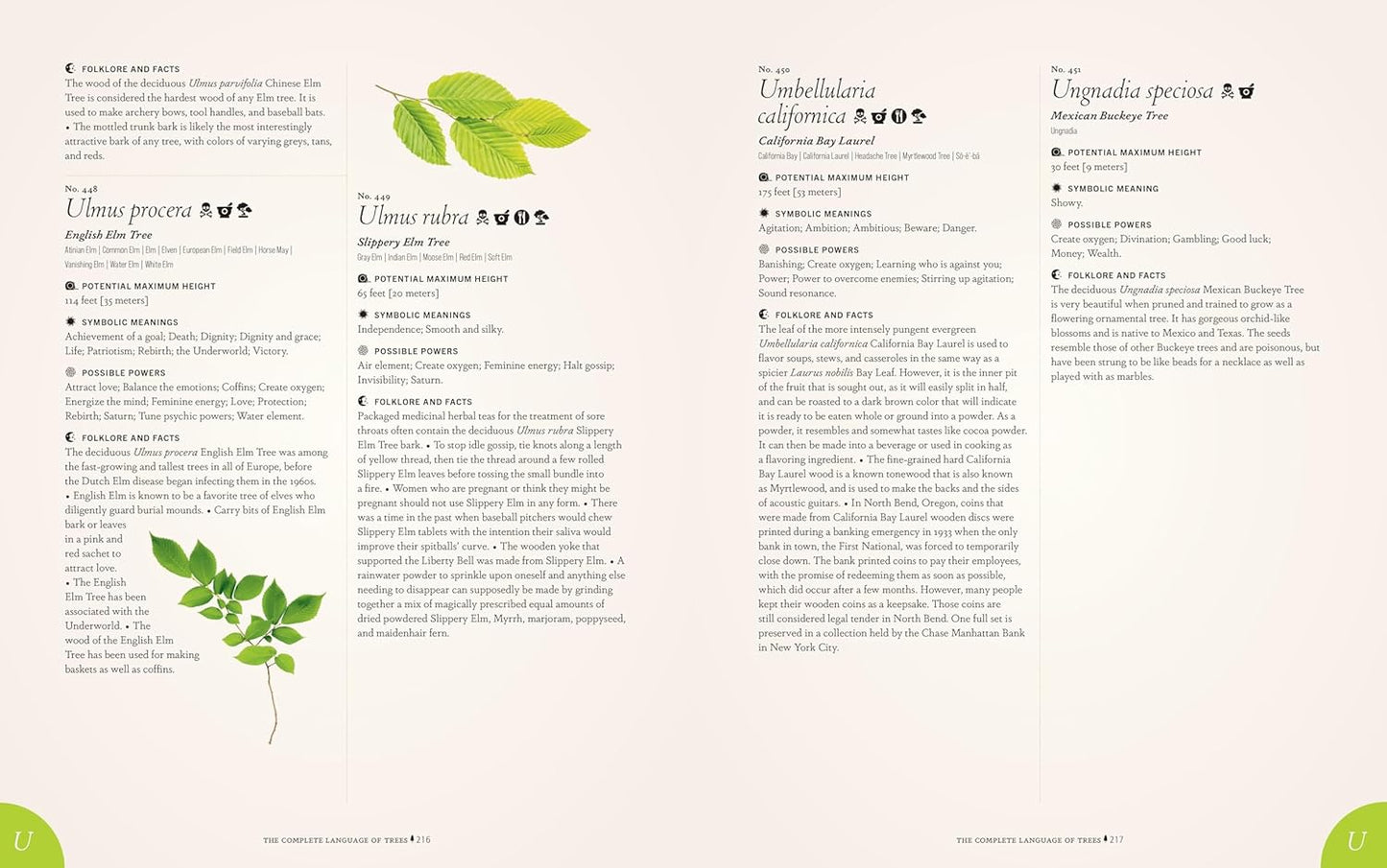 The Complete Language of Trees (Pocket Edition) - By S. Theresa Dietz