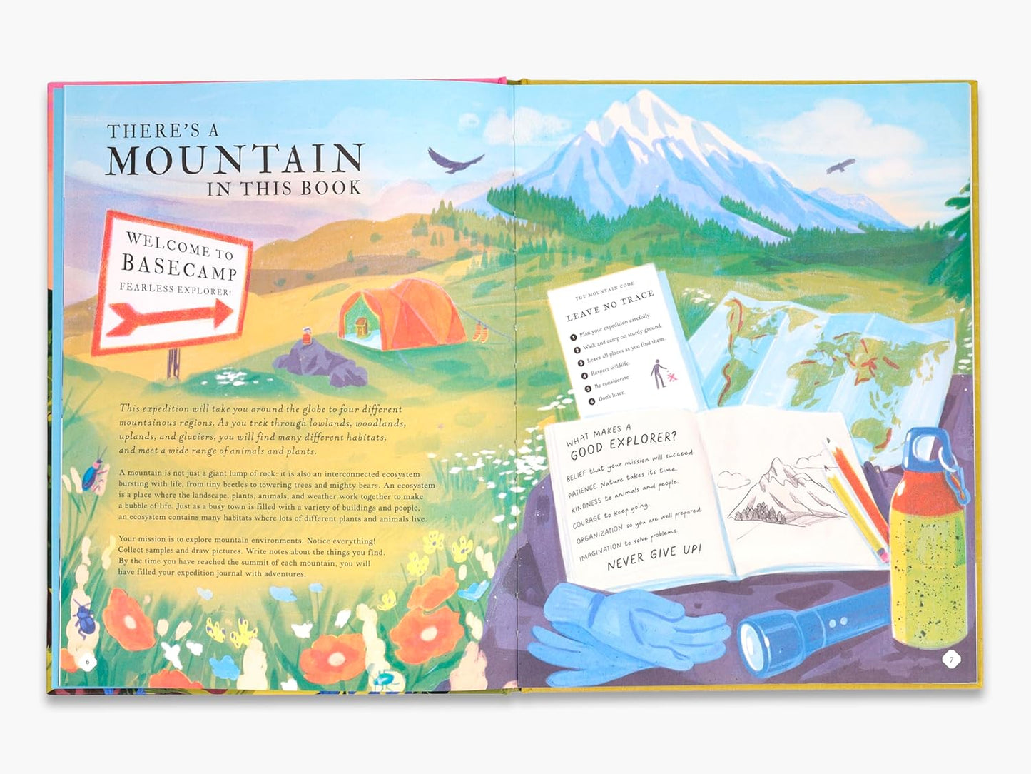 There's a Mountain in This Book