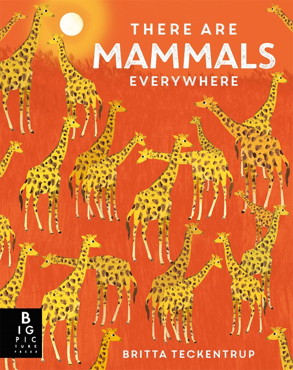 There are Mammals Everywhere - By Camilla De La Bedoyere & Illustrated by Britta Teckentrup