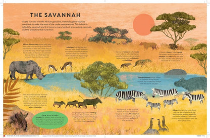 There are Mammals Everywhere - By Camilla De La Bedoyere & Illustrated by Britta Teckentrup