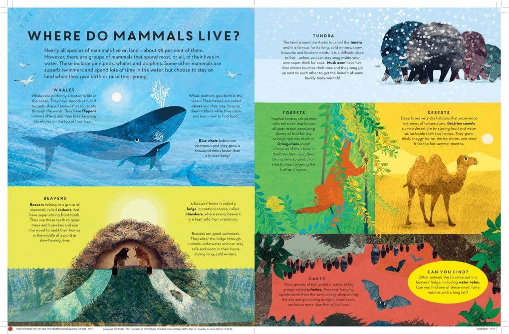 There are Mammals Everywhere - By Camilla De La Bedoyere & Illustrated by Britta Teckentrup