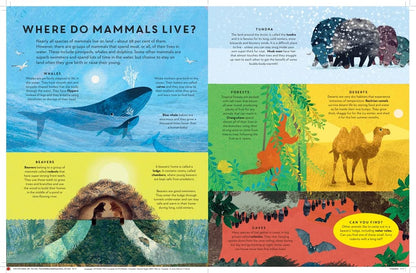There are Mammals Everywhere - By Camilla De La Bedoyere & Illustrated by Britta Teckentrup