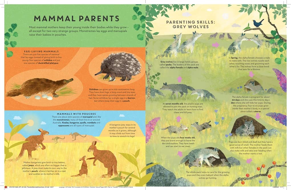 There are Mammals Everywhere - By Camilla De La Bedoyere & Illustrated by Britta Teckentrup