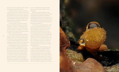 Tiny Nature - By Jamie Rosencrans