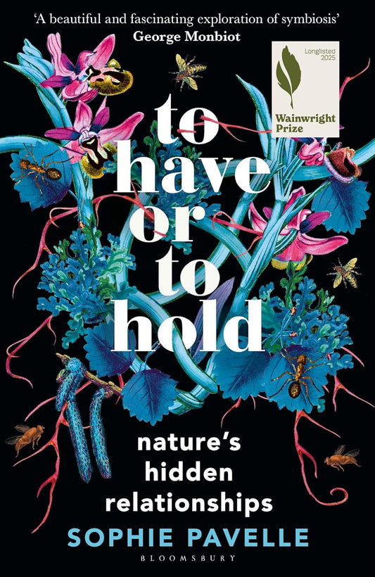 To Have or to Hold - By Sophie Pavelle