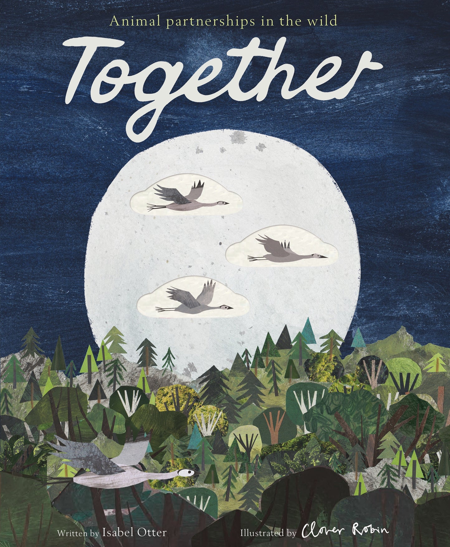Together - By Isabel Otter, Illustrated by Clover Robin