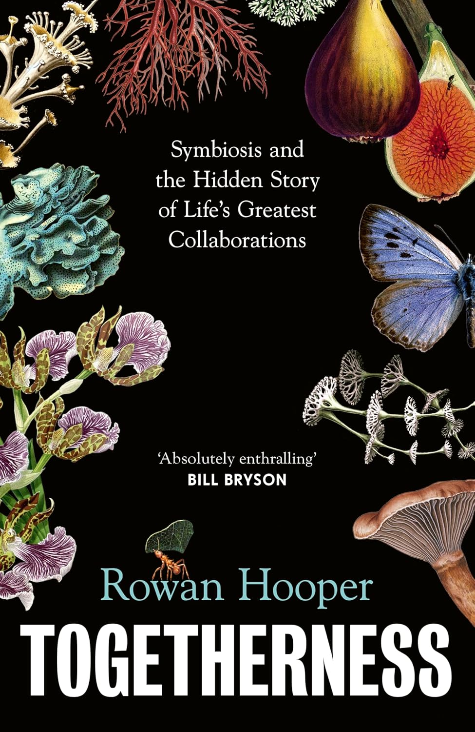 Togetherness: Symbiosis and the Hidden Story of Life’s Greatest Collaborations - By Rowan Hooper
