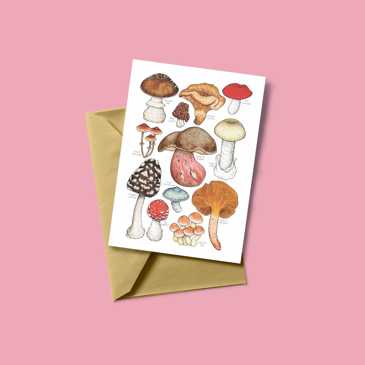 Toxic Mushrooms Greetings Card