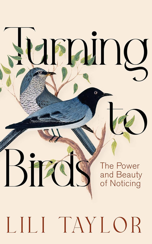 Turning to Birds - By Lili Taylor