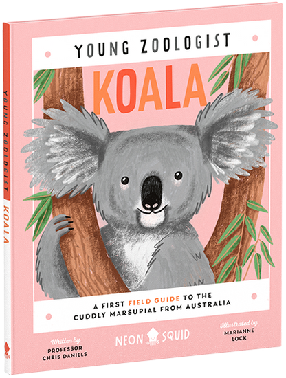 Young Zoologist Koala