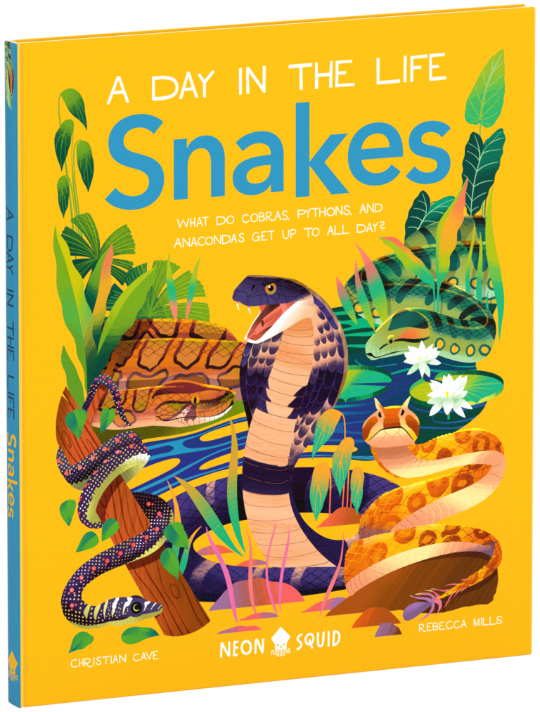 A Day in the Life - Snakes