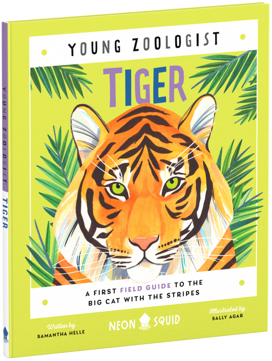 Young Zoologist Tiger