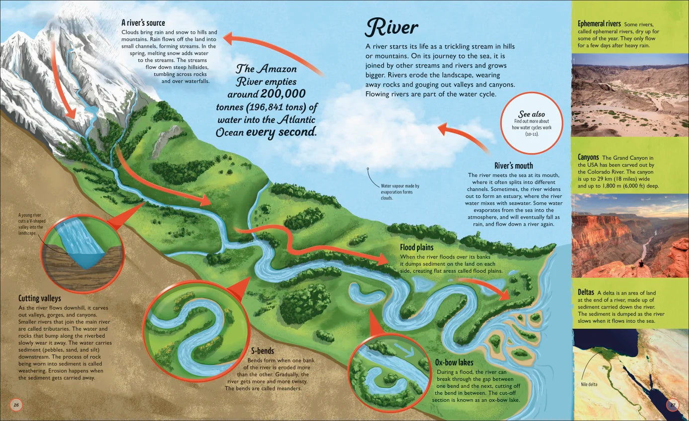 Water Cycles - Illustrated by Sam Falconer