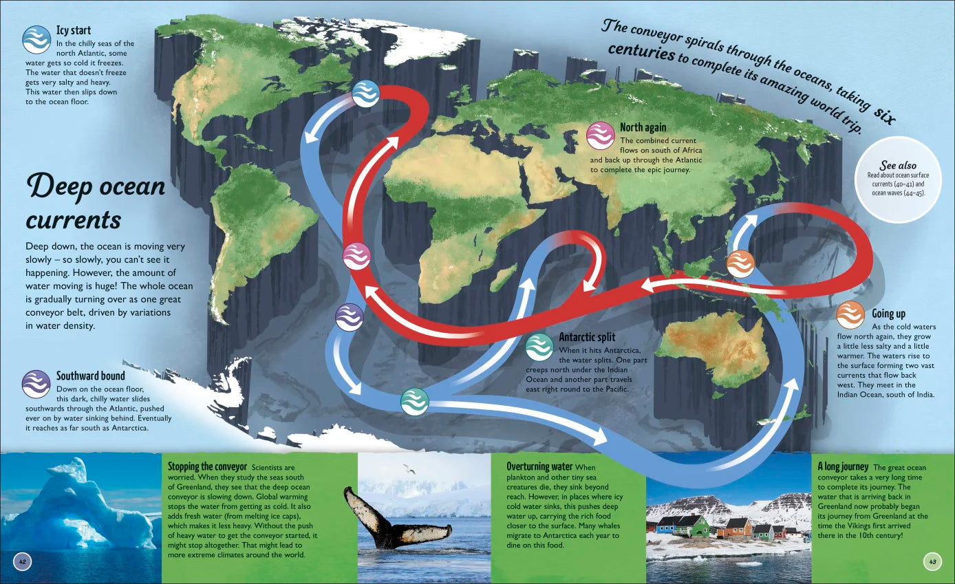Water Cycles - Illustrated by Sam Falconer