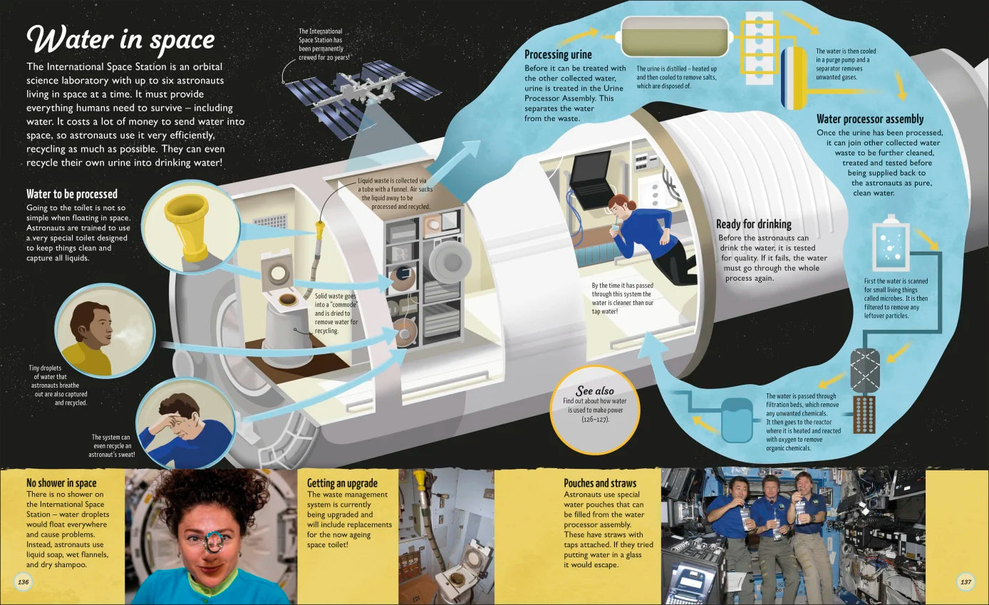 Water Cycles - Illustrated by Sam Falconer