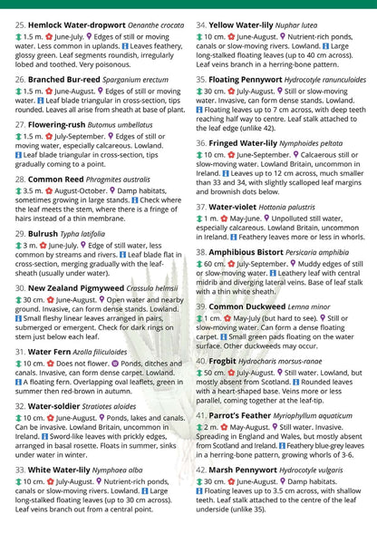 Waterside Flowers - Wild ID Guide