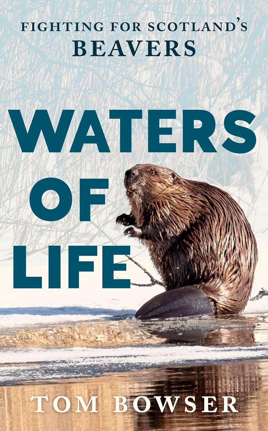 Waters of Life - By Tom Bowser