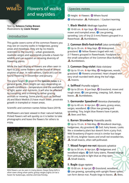 Flowers of Walks and Waysides - Wild ID Guide