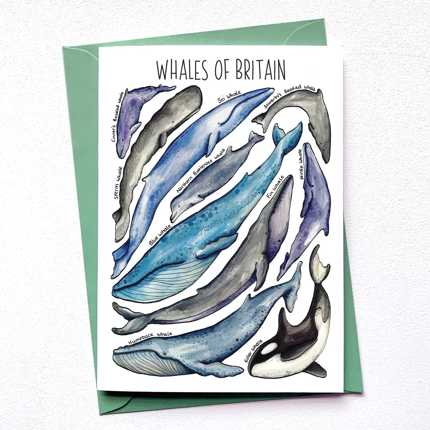 Whales of Britain - Greetings Card