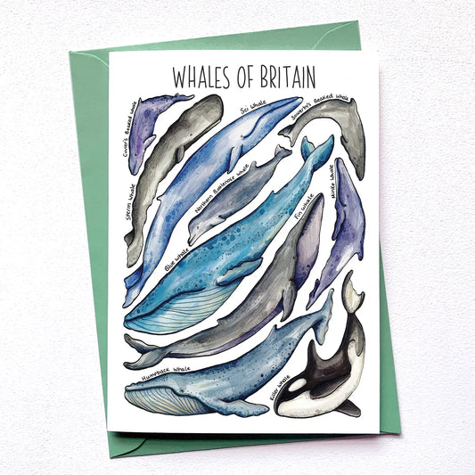 Whales of Britain - Greetings Card