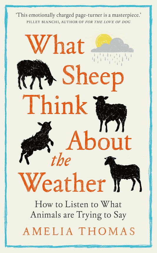 What Sheep Think About the Weather: How to Listen to What Animals are Trying to Say - By Amelia Thomas