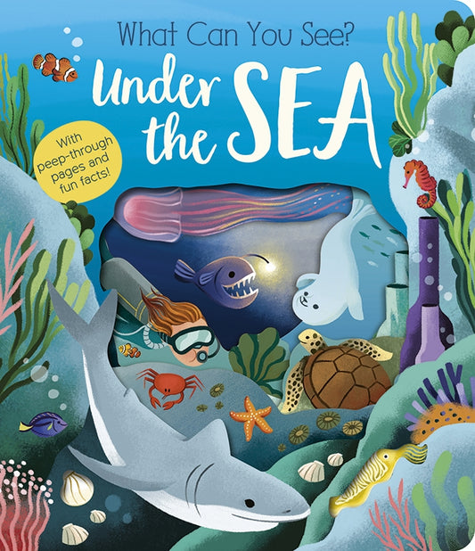 What Can You See? Under the Sea - By Molly Littleboy, Illustrated María Perera