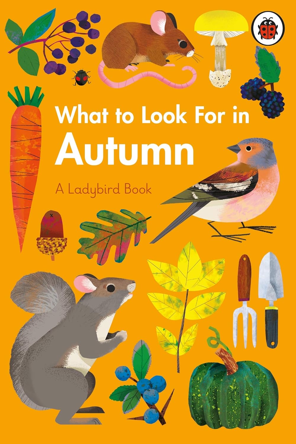 What to Look for in Autumn - By Elizabeth Jenner