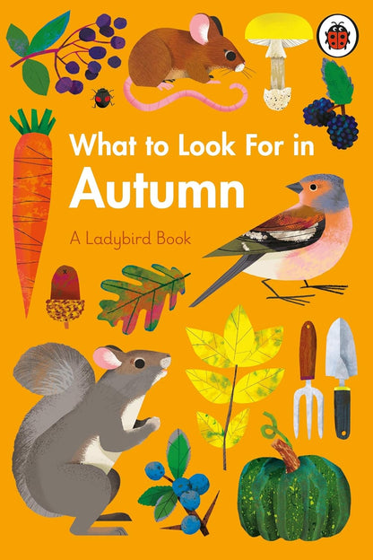 What to Look for in Autumn - By Elizabeth Jenner