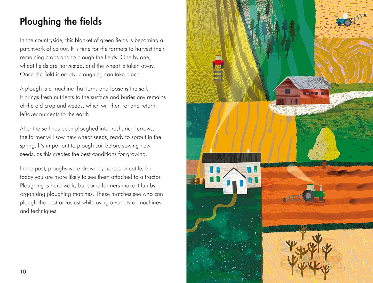 What to Look for in Autumn - By Elizabeth Jenner