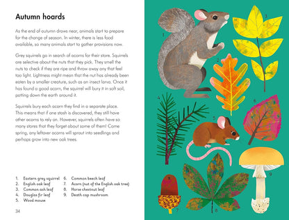What to Look for in Autumn - By Elizabeth Jenner