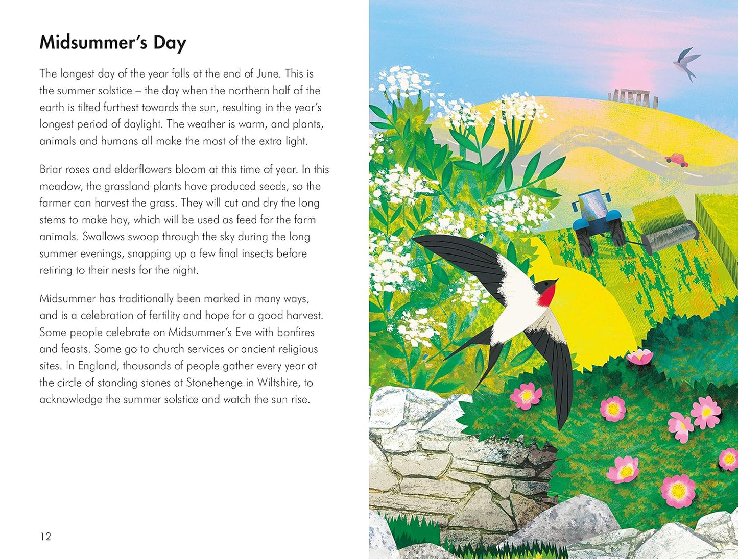 What to Look for in Summer - By Elizabeth Jenner