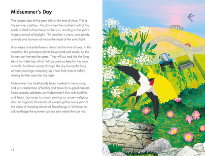 What to Look for in Summer - By Elizabeth Jenner